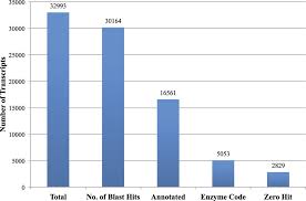 Image result for Psophocarpus grandiflorus