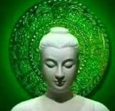 Eagle brood patch formation observed