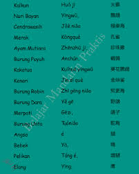 Belajarlah kosakata terpenting dalam bahasa cina! Nama Hewan Dalam Bahasa Mandarin Belajar Mandarin