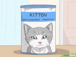1 cup whole milk (cow or goat). 3 Simple Ways To Make Kitten Formula Wikihow