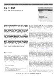 In cell biology, the nucleus (pl. Pdf The Nucleolus