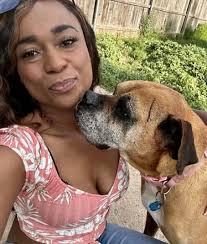 Foster care for lost puppy in Amarillo