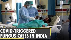 Airborne Killer Black Fungus Linked To Covid 19 Detected In Delhi India News Delhi Top News Youtube