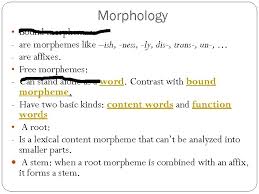 Free morphemes and bound morphemes a word like 'house' or 'dog' is called a free morpheme because it can occur in isolation and cannot be divided into smaller meaning units. An Introduction To Language Lecturer Lien To Trinh