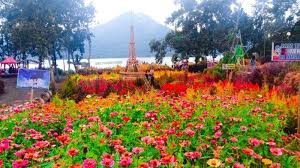 Jadwal operasional bank kebanyakan hampir memiliki jam operasional sama, ada juga yang berbeda hal itu tergantung dengan kebijakan setiap kantornya. Https Palembang Tribunnews Com 2021 07 25 Imbas Dicap Pernah Susah Hotman Paris Langsung Bongkar Kaya Sejak Dulu Tahun 88 Dinner Di Sydney Https Cdn 2 Tstatic Net Palembang Foto Bank Images Hotman Paris Hutapea 20161007 155755 Jpg