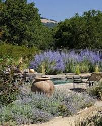 Creating Garden Moods Mediterranean Garden Design Mediterranean Landscaping Mediterranean Garden