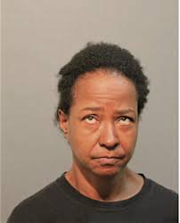 ᐅ Illinois Criminal Records 2009-2025