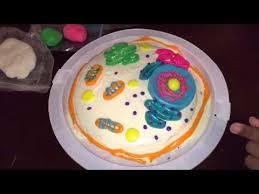 Maybe you would like to learn more about one of these? Animal Cell Cake Youtube