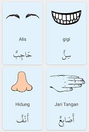 Importance of communication skills in english. Anggota Badan Dalam Bahasa Arab Nota Bahasa Arab Facebook