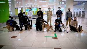 Covid 19 Testing At Airports Is Becoming More Critical As Travelers Want To Bypass Mandatory Quarantine At Their Destinations Plug And Play Tech Center