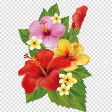 | view 192 tropical illustration, images and graphics from +50,000 possibilities. Download Download Tropical Flowers Border Png Clipart Clip Art Clipart Of Flowers Png Image With No Background Pngkey Com