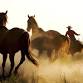 Cowboys for Christ Norco Chapter Meeting event image