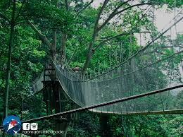 Maybe you would like to learn more about one of these? 10 Lokasi Treking Dan Hiking Best Dalam Malaysia Untuk Kaki Gunung