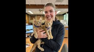 We were closed yesterday in honor of Memorial Day, but here's last week's  adoption cuteness! We still have a lot of cuties waiting for homes and this  Saturday, June 1, is California Adopt-a-Pet Day, ...