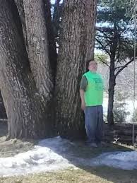 Family owned and operated, serving the metro atlanta area for over 24 years! R R Tree Service Posts Facebook