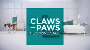Carpeting has the ability to turn a home into a comfortable, relaxing place to live. Carpet One Floor Home Latham Home Facebook