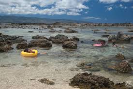 Sharks Cove Pupukea Tide Pools In Haleiwa Oahu Hawaii