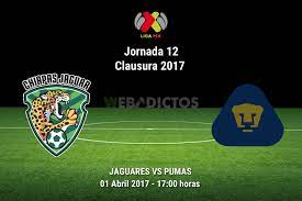 Final hormiguitas 19 jaguares vs pumas. Jaguares 0 Pumas 3 Pasteurinstituteindia Com