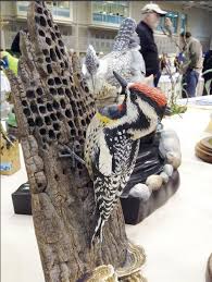 Birds Of Vermont Museum Huntington Vt 2015 Ward World Show Pictures By Bob Hand Jr Www Worldofdecoys Com Bird Carving Pictures Ward