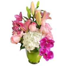 We did not find results for: Christie S Flowers Gifts Naples Florida Flower Shop Serving Naples Florida