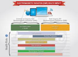 Emf Radiation Information Maverick Creatrix