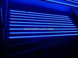 Check spelling or type a new query. T8 18w All Blue Led Grow Light Tube For Horticulture Hydroponics From China Manufacturer Manufactory Factory And Supplier On Ecvv Com