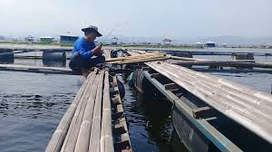Mancing Di Sela Sela Keramba Kolam Apung Waduk Cirata Youtube