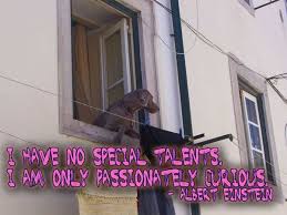 Feb 08, 2020 · i have no special talent. I Have No Special Talents I Am Only Passionately Curious