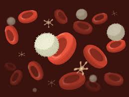 Maybe you would like to learn more about one of these? Parts Of The Cell Read Biology Ck 12 Foundation