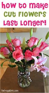 We did not find results for: Pin On Gifts For Grandparents