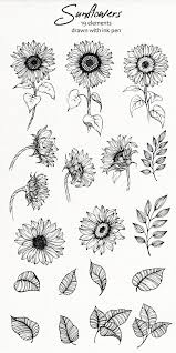 Black And White Line Art Sunflower Drawing Sunflowers Svg Png Sunflowers Clipart Printable Flowers Silhouette Sunflower Flowers Svg Floral Png Botanical Line Art Diy In 2020 Sunflower Clipart Flower Drawing Flower Doodles