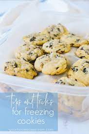 How To Freeze Cookies Frozen Cookies Dessert Recipes Delicious Cookies Homemade