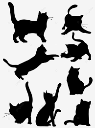 We did not find results for: Gambar Set Bahan Reka Bentuk Garis Besar Siluet Kucing Hitam Kucing Hitam Siluet Tetapkan Png Dan Psd Untuk Muat Turun Percuma