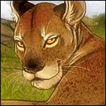 There is so much to do! Lioness Claiming Guide Lioden