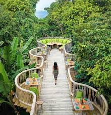 Tropical Landshaftnye Plany Blagoustrojstvo Goroda Landshaft