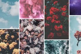 We did not find results for: Top 25 Most Popular Preppy Iphone Wallpapers Of 2019 Preppy Wallpapers