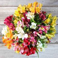 Order Prism 40 Alstroemeria Blooms Bouquet Online At Best Price Free Delivery Igp Flowers Alstroemeria Bouquet Fragrant Flowers Ordering Wedding Flowers Online