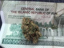 citation neededin the modern era rastafari use cannabis as a sacred herb. Cannabis In Iran Questions And Answers By Religious Scholars On The Use Of Cannabis In Iran The Landrace Team