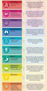 This post lists the most common emergencies in cats, dogs and other small pets that require an emergency vet. Life Cheating On Twitter Pet Emergency Dog Care Pet Health