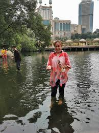 Ikan ini lebih dikenali dengan kap jawa(java carp) dan boleh didapati dengan banyak di perairan air tawar di malaysia dan indonesia.ikan ini tergolong didalam golongan ikan air tawar yang mempunyai. Sunway Lagoon S Pinky Gets An Upcycled Floating Island As Her Home