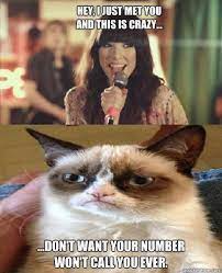 Ya Girl Ya Cra Cra Ain T Nobody Got Time Fo Dat Funny Grumpy Cat Memes Grumpy Cat Humor Grumpy Cat