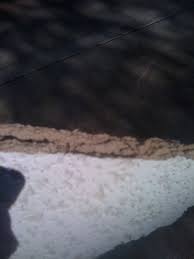 Check spelling or type a new query. Does This Look Like Asbestos Ceiling Tile