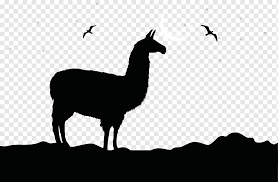 New living translation blind guides! Animal Illustration Alpaca Llama Logo Camel Silhouette Illustration Mammal Animals Textile Png Pngwing