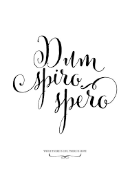 Latin Quote Dum Spiro Spero Where There S Life There S Hope Nice Printable Art Latin Quote Poster Print Calligrap Ideias De Letras Palavras Citacoes
