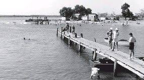 Image Result For Old Photos Of Cotton Tree Maroochydore Old Photos Photo Maroochydore