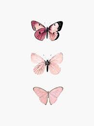 Pin By Alissa On Pngs Butterfly Wallpaper Iphone Pastel Pink Aesthetic Pink Wallpaper Iphone