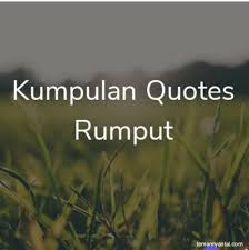 Rumput tetangga selalu lebih hijau. Kumpulan Quotes Kata Kata Bijak Tentang Rumput Inspiratif Dan Memotivasi