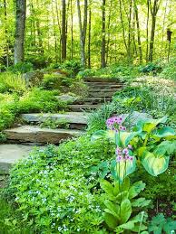 Best Free Woodland Shade Garden Strategies But If Your Yard Is Filled With Large Shade Trees It S Already Challe Shade Garden Design Shade Garden Garden Steps
