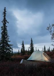 Check spelling or type a new query. Camping In Alaska S Denali National Park