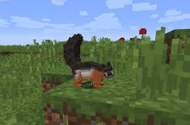 It will not work alongside zawa 2.1 or future versions. Minecraft Zawa Addon X Sragen